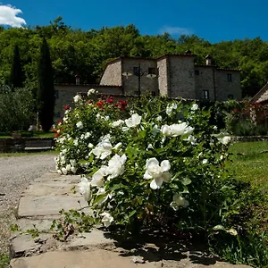 Azienda Agricola Il Pozzo , Capolona Italia